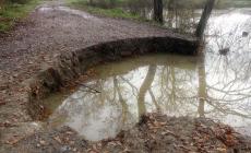 I danni e i rifiuti della piena del Po a Polesine Zibello - Fotogallery