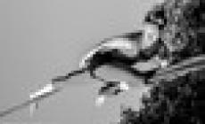 "Circolarmente",  emozioni in circolo 