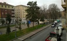Manifestazione a favore dell'Ucraina