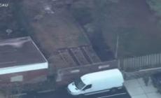 Orso padrone del quartiere: un drone riprende passeggiata tra le case - Video