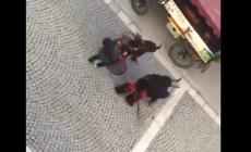 Vipiteno, paura alla sfilata: Krampus aggrediscono gli spettatori  - Video