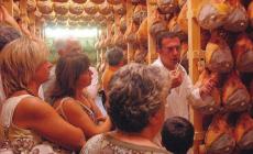 La navetta dei buongustai: tutti gli orari per le visite