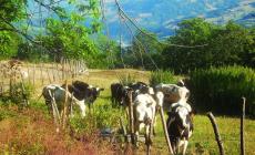 Un weekend di feste sul prato e trekking