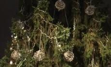 L'albero in piazza. Il momento dell'accensione - Video