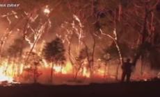 Sidney, a fuoco oltre 300.000 ettari di terreno - Video