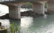 Ponte Dattaro, greto della Parma intasato da tronchi secchi