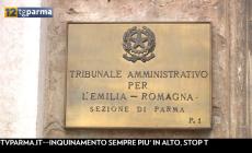 Ricorso, il Tar: legittimo il bollino 'antifascista'. CasaPound: 'Un cavillo non ci fermerà'  - Video
