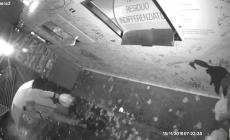 Ecco chi sporca la città: un altro video sui furbetti dei rifiuti