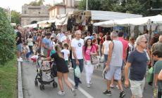Sagra della Croce, pochi bagni chimici a Collecchio