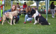 Dog Party: scatti dalla sfida a coppie cani-padroni