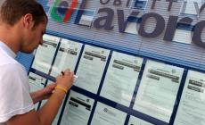 48 nuove offerte per chi cerca lavoro