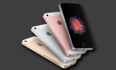 La primavera porta un iPhone di taglia small