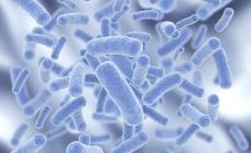 Legionella,  primo morto in provincia. E' di Collecchio