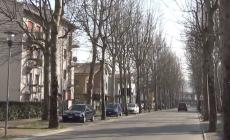 Traversetolo, l'autista si &egrave; costituito - Video