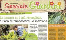 Un inserto gratuito dedicato al giardinaggio 