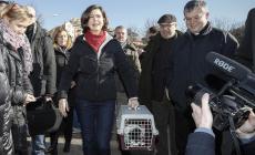 La Boldrini fa benedire il gatto e scherza: "Anche io ne ho bisogno"