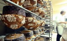 Parma   e i suoi panettoni