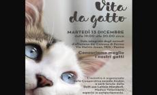 "Conosciamo meglio i nostri gatti": incontro con il veterinario