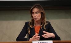 Boschi a Parma:  "M5S, uno conta zero e arrivano mail anonime"
