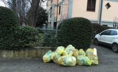 Via Fattori, spazzatura dimenticata  