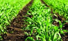 Riscoprire i valori della terra è un’occasione per i più piccoli