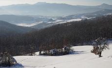 Il Wwf: "Pi&ugrave; bufale che iene: ancora un esempio di informazione scorretta sul lupo" 