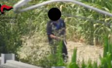 Clandestini-pusher per spacciare nel Parmense: sgominata banda