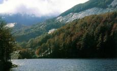 Domenica 1 maggio apre la pesca ai Lagoni.