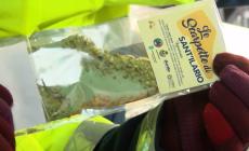 In piazza Garibaldi la distribuzione della Scarpetta di Sant'Ilario - Video