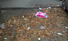 Rifiuti nei parcheggi a righe blu in viale Duca Alessandro
