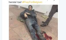 Bruxelles, operato Bellin