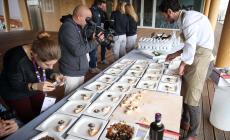 Nuovi alimenti: presto i primi prodotti sul mercato. Ma non vedremo i grilli nel piatto 
