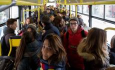 "L'autista del bus non aveva il resto: multata". La Tep: "Regole chiare"