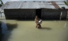 India:  100 morti e strage di rinoceronti per le piogge