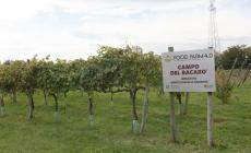 Sport Day 2020 al Campus e Food Farm 4.0: un modello per l'Italia