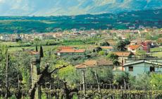 Citt&agrave; del vino: un filo rosso dal Sannio alla Costiera