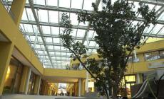 Summer nights al Barilla Center