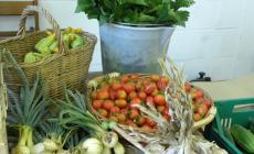 MercaTiAmo, scorci d'estate