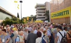 L'agricoltura contro l'embargo russo 