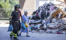 Gattina estratta vive dopo 5 giorni sotto le macerie