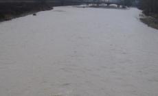 E la Parma torn&ograve; (finalmente) ad ingrossarsi 