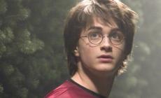 Harry Potter impiegato e papà, l'ottava storia