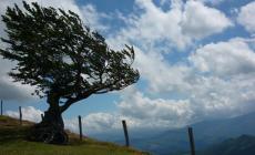 Giorni della merla con il caldo, sfatata la tradizione