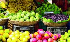 Frutti della nostra terra coniugano salute e palato