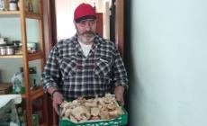 I primi "prugnoli" della stagione