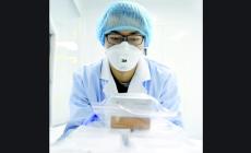 Virus cinese: bufale e verit&agrave;