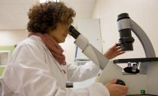 Microbiota intestinale, scoperto freno a sviluppo tumore
