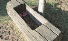 Allarme acqua ai Boschi: la fontana è fuori uso