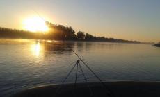 Alba sul Po a Boretto