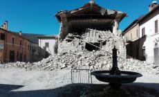 Terremoto: allarme per gli animali nelle campagne di Norcia